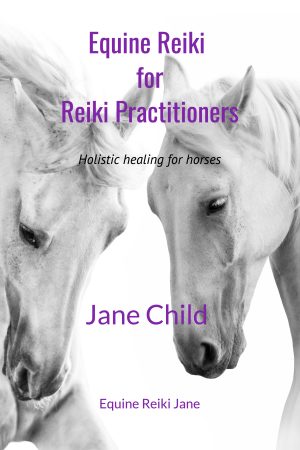 Equine Reiki for Reiki Practitioners